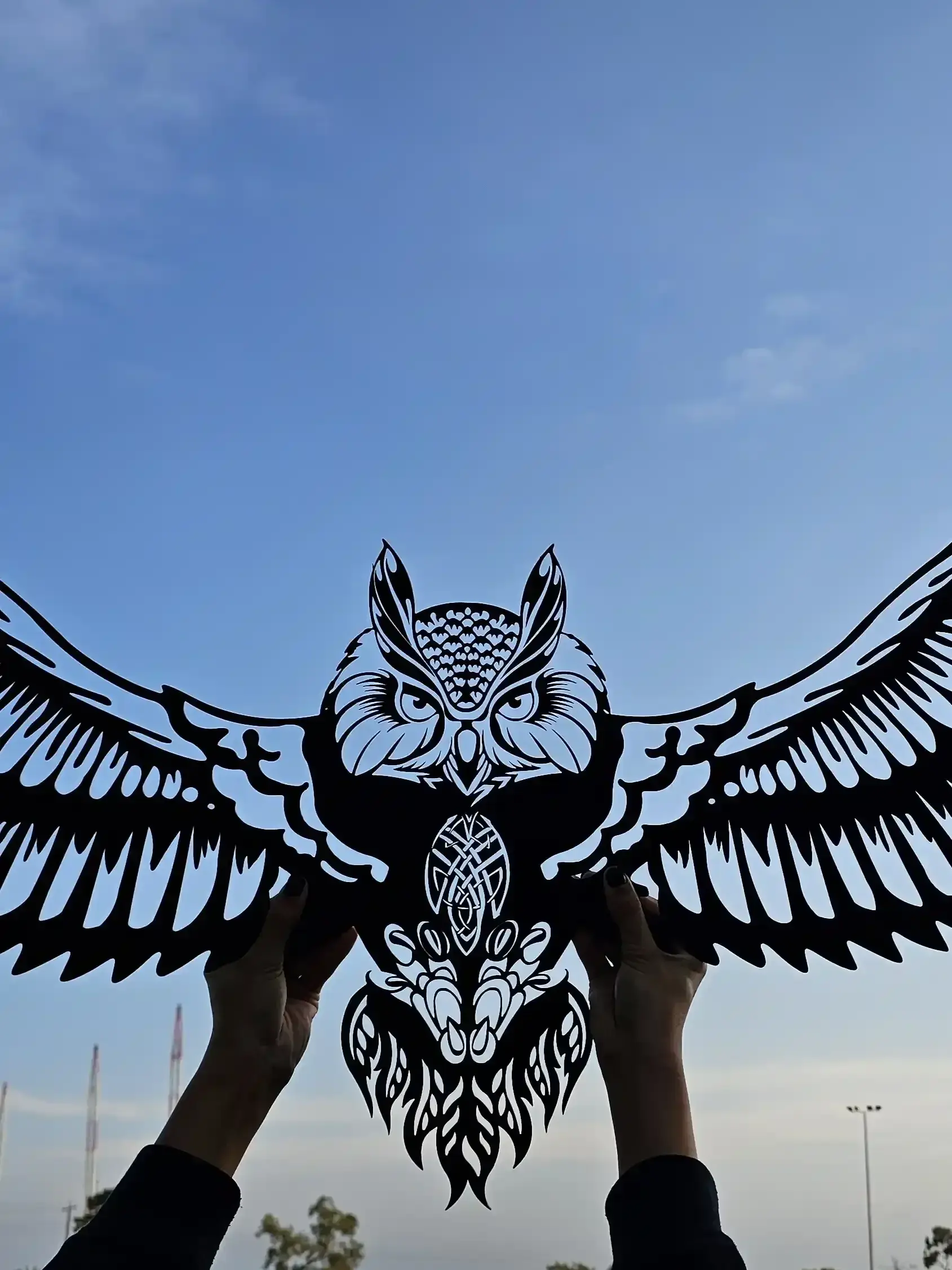 Owl Wall Art - view 1