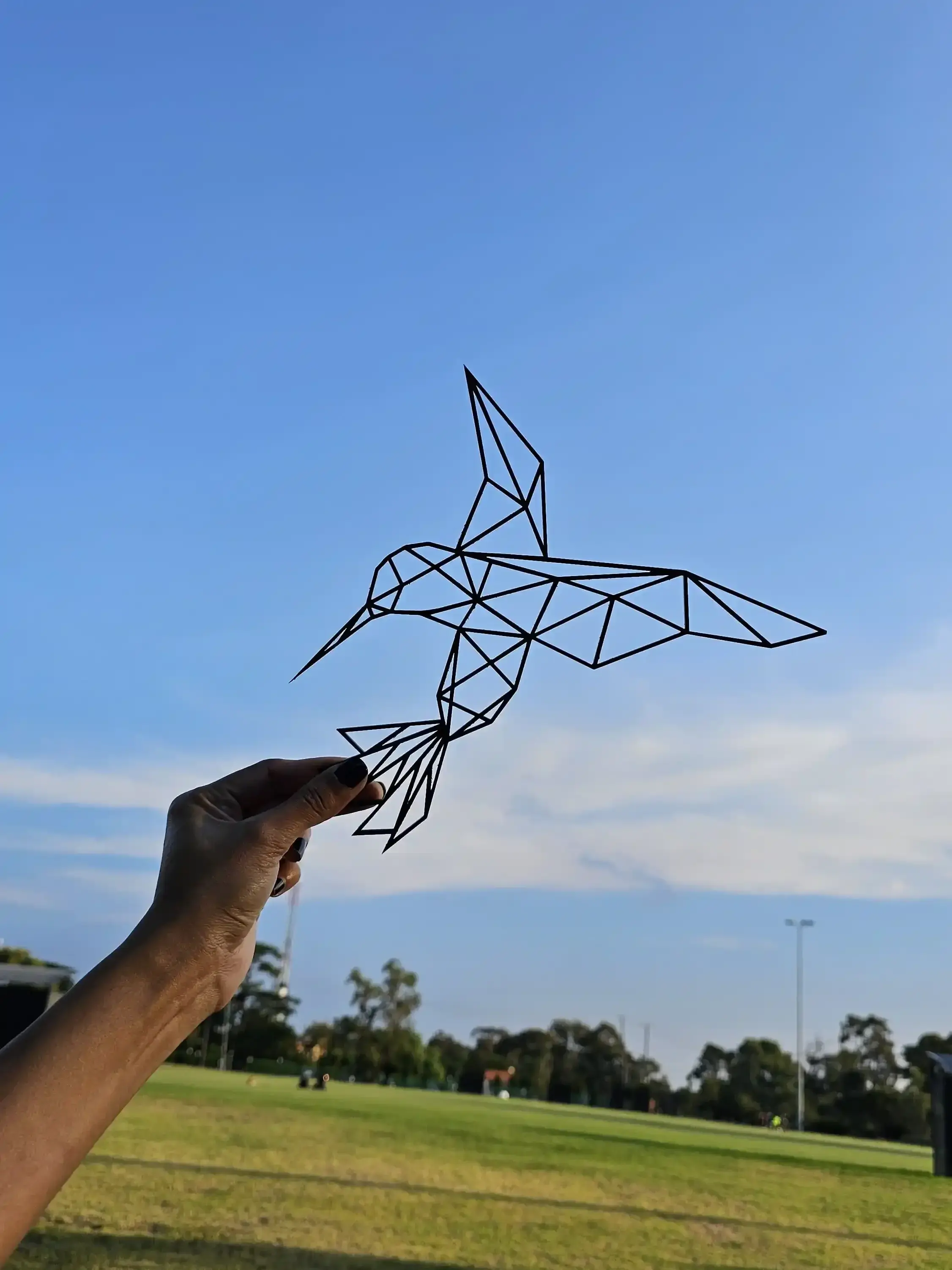 Geometric Hummingbird - view 1